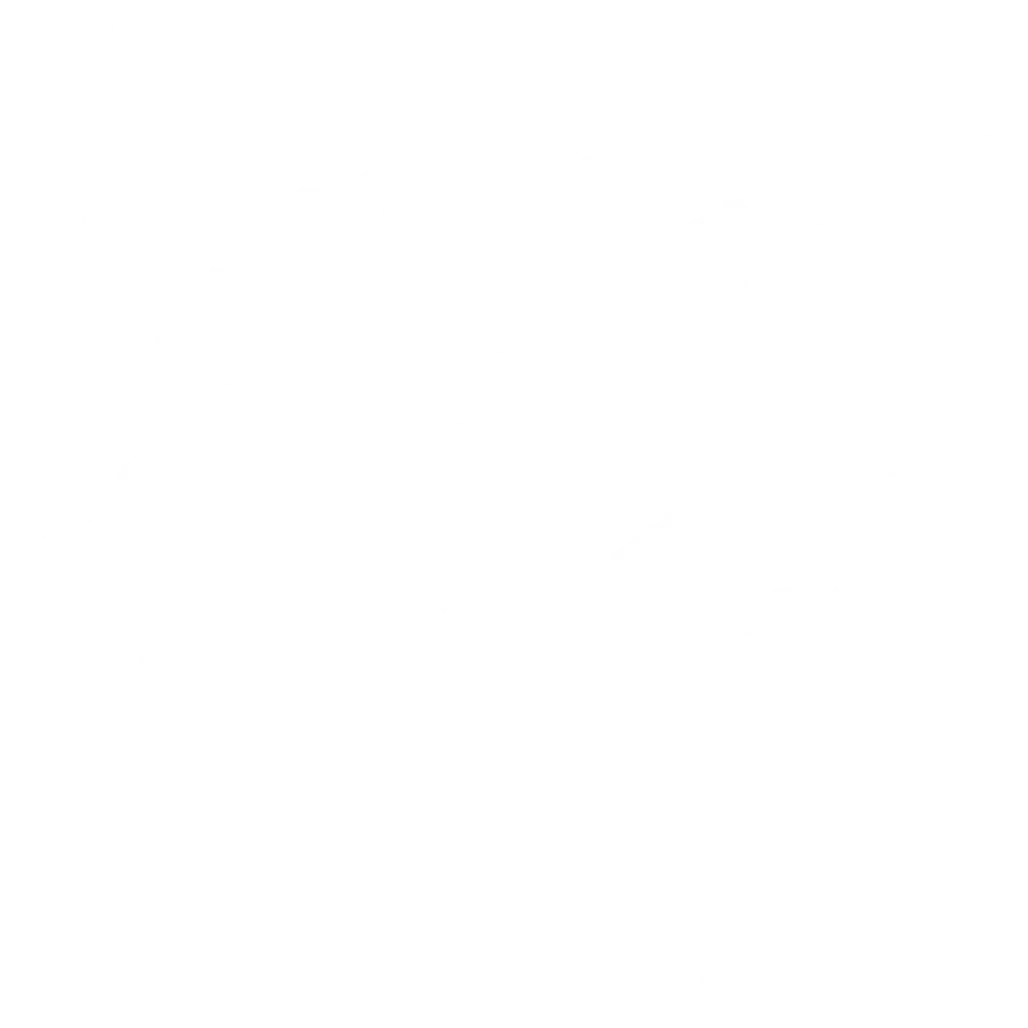 Na Busca do Swell